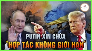 Trump ra tín hiệu, Putin lập tức ‘cầu xin’ đàm phán; bàn ‘nhiệm kỳ 3’ của Trump