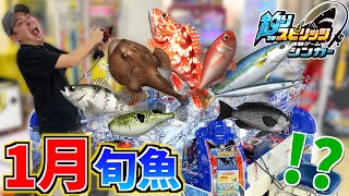 1月になったので今しか出現しない旬魚を全て釣り上げたいと思います！！www【釣りスピシンカー】