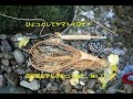 ひょっとしてヤマトイワナ？　LASTHOPE flyfishing diary-No.77