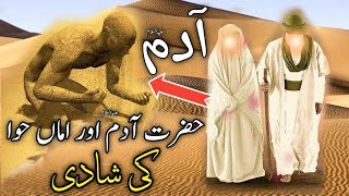 Marriage of Adam and Eve| aurat ki padaish kaise hoi?| The story of Prophet Adam|#qasasulislam