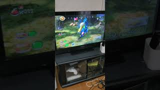 ピクミン2【Pikmin2】;青50匹でヘビガラス（めざめの森）を倒す。