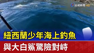 紐西蘭少年海上釣魚 與大白鯊驚險對峙