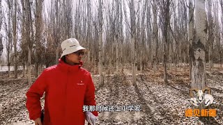 柯柯牙-新疆荒漠绿化奇迹 这个工程多次上央视 它是阿克苏人的骄傲 凝结了三代人的努力