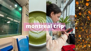 montreal entries: exploring the city, touring mcgill, french pastries, and lots of walking