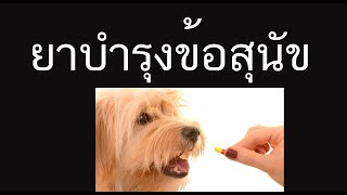 โรคทางสมอง โรคระบบประสาทในสุนัข ตรวจระบบประสาท สุนัข โรคระบบประสาทในสุนัข ตรวจระบบประสาท สุนัข หมอ