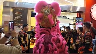 pink lion in the mall feb/9/25 @llsmixvlogs143