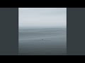 Lonely Echoes