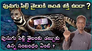 పునుగు పిల్లి తైలం కు డబ్బుకు ఏంటి సంబంధం?