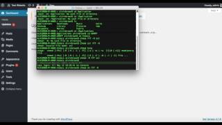 Quickly update localhost WordPress Theme and Plugins