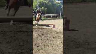 Miten tässä nyt näin kävi🤦🏼‍♀️😂#fail#hirse#jump#pony#music#fynny