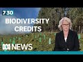 Government proposes to create a market to incentivise biodiversity investment | 7.30