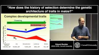 How does the history of selection determine the genetic architecture of maize traits? - Ed Buckler