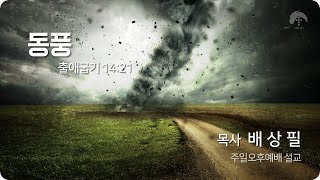 [큰나무교회]동풍_주일오후예배20220424_목사배상필