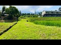 4K Walk Japan, Summer escape to Japan's Countryside Mountain Village Tour 2024