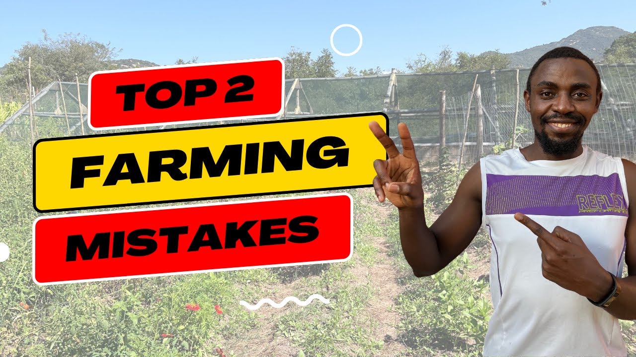 Worst Farming Mistakes We Made As Beginners Millennial Homesteader