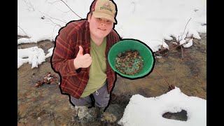 Hunting For Arrowheads And Fossils In A Pennsylvania Creek