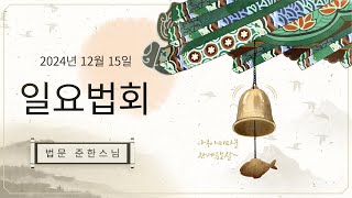 일요법회 준한스님법문(2024년 12월 15일)