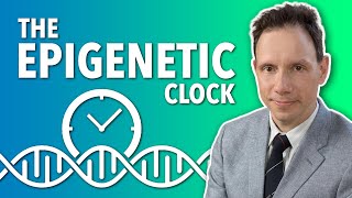 Epigenetic Clock - Dr. Steve Horvath - Lifespan.io
