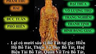 Kinh Vô Lượng Thọ (Trọn Bộ) - Thích Trí Thoát