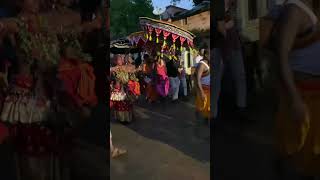 Tusura samalaei maa jatra 2022 Dussehra #shorts #viralshorts #tusura