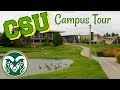 Colorado State University Campus Tour!