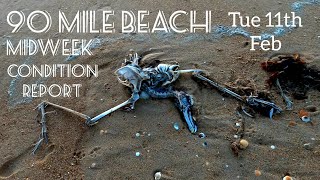 90 Mile Beach. Midweek Condition Report. Tue 11th Feb