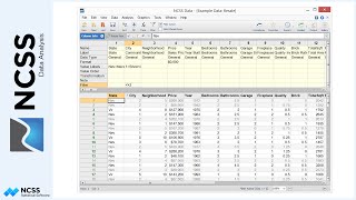 The NCSS Data Window