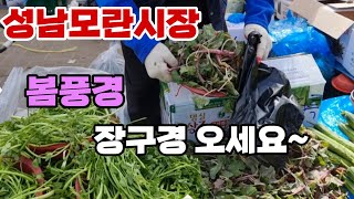 성남모란시장 3월 모란장날 장풍경~         봄나물 봄꽃게 싱싱한 체소 과일들~           장구경 같이 해보세요 잠생이부인