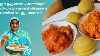 ഈ ഉപ്പുമാങ്ങ ചമ്മന്തിയുടെ വീഡിയോ കണ്ടിട്ട് നിങ്ങളുടെ വായിൽ വെള്ളം വന്നോ ? Uppu Manga