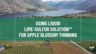 Apple Blossom Thinning with Lime-Sulfur Solution™ by NovaSource