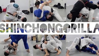 20210616 ShinChonGorilla Sparring 하이라이트