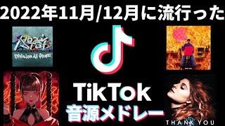 【TikTok】2022年11月12月に流行ったTikTok音源メドレー！！！！！！