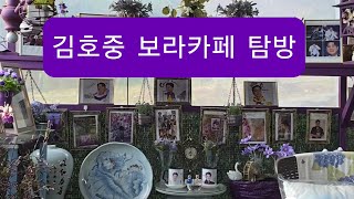 김호중 보라카페 탐방 - 충남서산 보라카페 241226