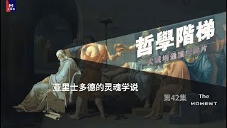 No.42 The Theory of Soul in Aristotle's works《哲学阶梯》第42集：亚里士多德的灵魂学说 ( Producer: Dan Feng)