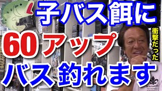 【村田基】ブラックバスを餌に60アップのデカバス釣れます。池原ダムで子バスにデカバスが喰ってきた瞬間は衝撃でした。【村田基切り抜き／池原ダム】