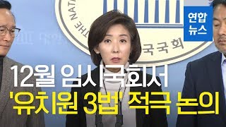 여야, 12월 임시국회서 '유치원 3법' 적극 논의해 처리키로 / 연합뉴스 (Yonhapnews)