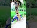 যতো কথা রাখা ছিল funny comedyvideos new reelitfeelit reelitfeelit reels