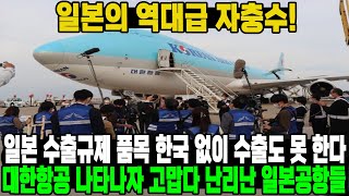 일본의 역대급 자충수!일본 수출규제 품목 한국 없이 수출도 못 한다대한항공 나타나자 고맙다 난리난 일본공항들