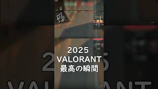 【Valorant】Valorant 最高の瞬間2025　罵詈雑言