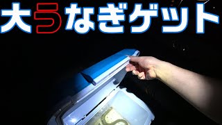 極太うなぎを釣り上げろ　【千葉県のすべての川でうなぎを釣るシリーズ】11弾