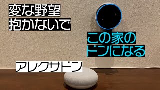 柴田家のドンになりたいアレクサ #アレクサ漫才