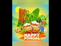 history of pongal what is pongal festival