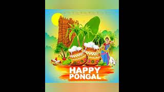 History of Pongal? / What is Pongal festival ?