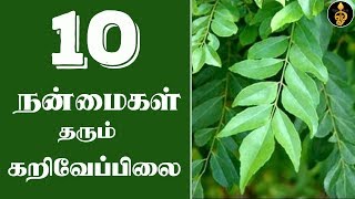 Karuveppilai benefits in Tamil | கறிவேப்பிலை பயன்கள் | Curry leaves benefits in Tamil | Dheivegam