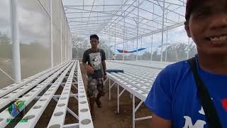 Progress on Construction of Hydroponics Greenhouse at Vigan