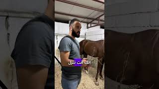 ترويض الخيل من العض الوحشي #عشاوي_ابو_الخيل