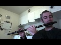 Garrett Barry's - Irish Flute - slow/fast