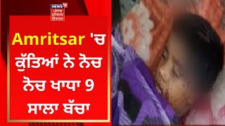 Amritsar 'ਚ ਕੁੱਤਿਆਂ ਨੇ ਨੋਚ ਨੋਚ ਖਾਧਾ 9 ਸਾਲਾ ਬੱਚਾ | News18 Punjab