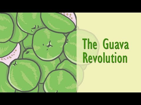 The Guava Revolution The Guava Revolution