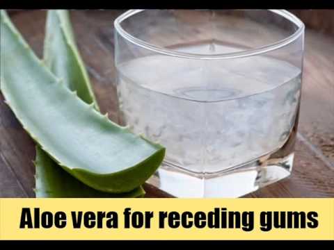 7 Cures To Receding Gums 7 Cures To Receding Gums